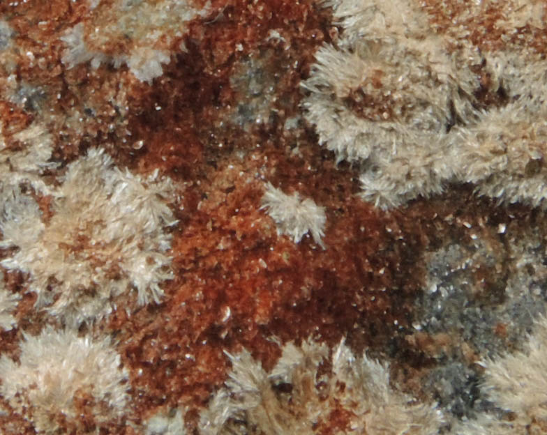 Pokrovskite and Coalingite over Quartz from Hunting Hill Quarry, Rockville, Montgomery County, Maryland