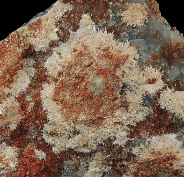 Pokrovskite and Coalingite over Quartz from Hunting Hill Quarry, Rockville, Montgomery County, Maryland