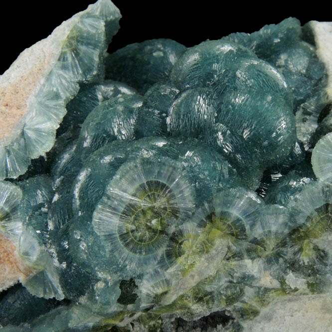 Wavellite (blue) from Dug Hill, near Avant, Garland County, Arkansas