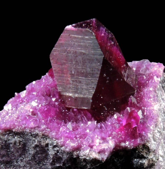 Clinochlore var. Kammererite from Kop Daglari, 70 km WNW of Erzurum, East Anatolia, Turkey