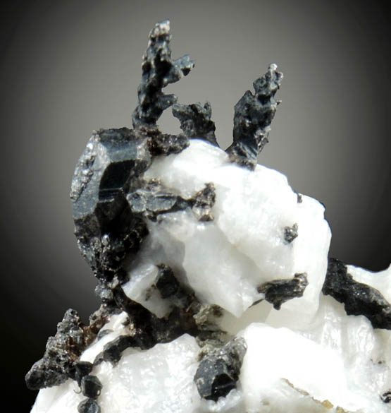 Silver in Calcite from Andres del Rio District, Batopilas, Chihuahua, Mexico