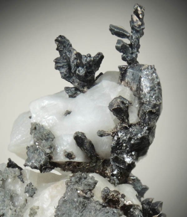 Silver in Calcite from Andres del Rio District, Batopilas, Chihuahua, Mexico