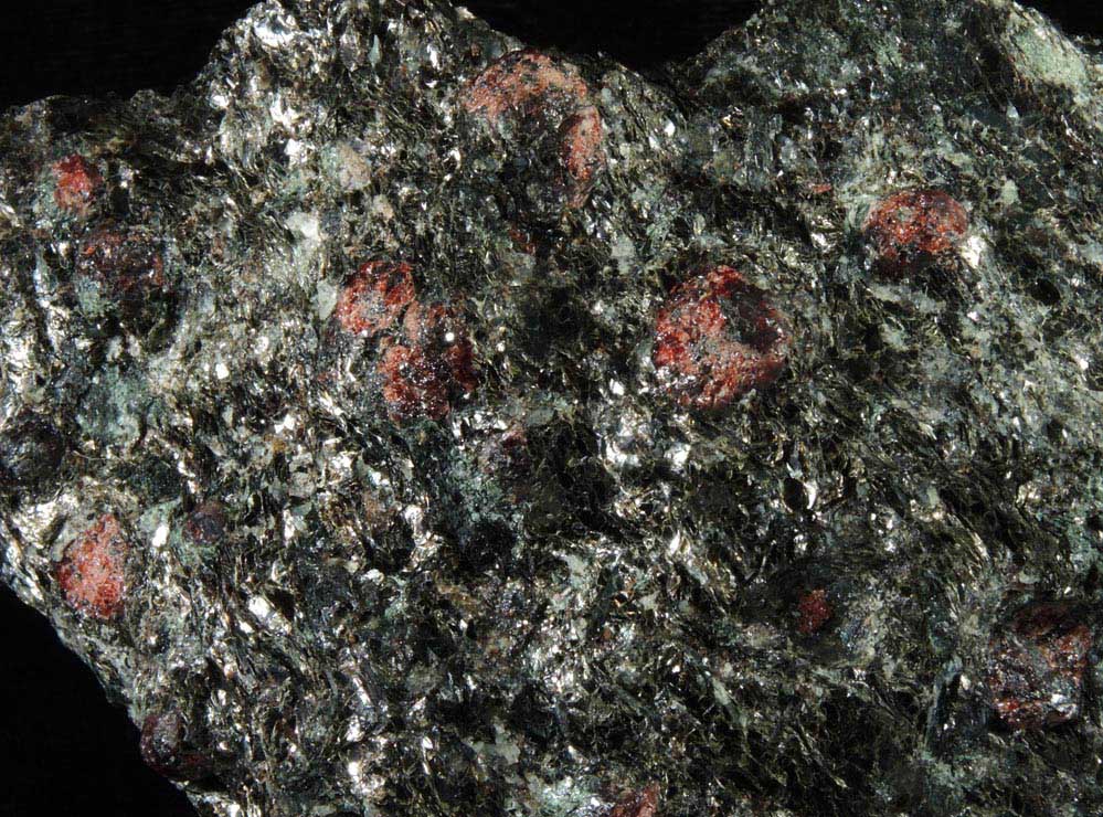Almandine Garnet in Biotite schist from NYC Water Tunnel rock dump, at the base of the Verrazano–Narrows Bridge, Staten Island, New York