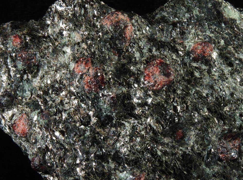 Almandine Garnet in Biotite schist from NYC Water Tunnel rock dump, at the base of the VerrazanoNarrows Bridge, Staten Island, New York