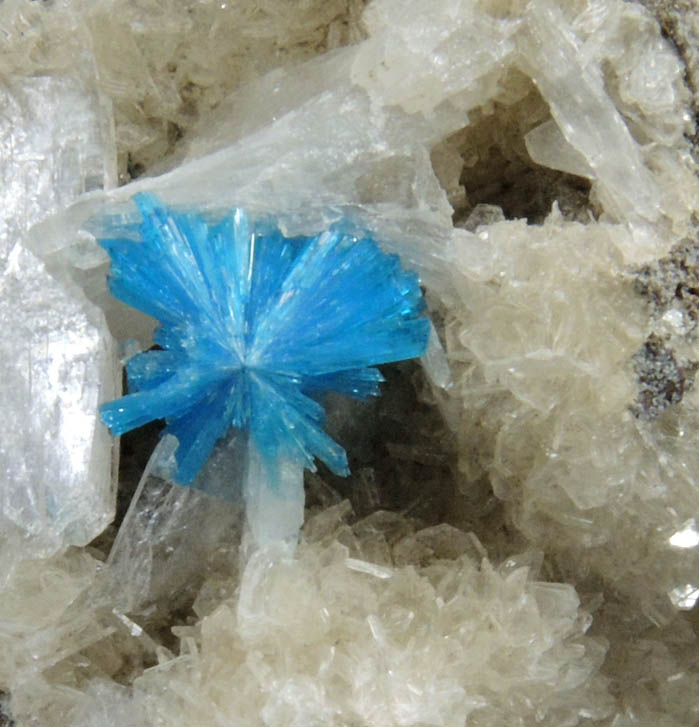 Cavansite on Stilbite-Ca from Wagholi Quarry, Maharashtra, India