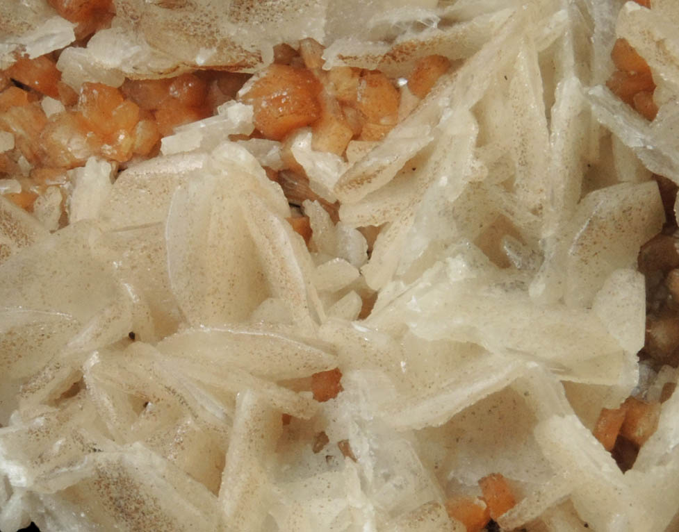 Stilbite with Calcite from Moore's Station Quarry, 44 km northeast of Philadelphia, Mercer County, New Jersey