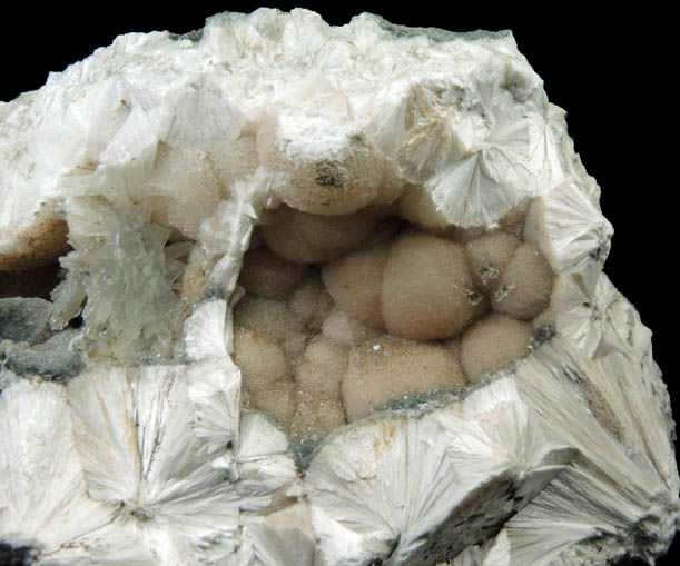 Pectolite with Apophyllite from Millington Quarry, Bernards Township, Somerset County, New Jersey