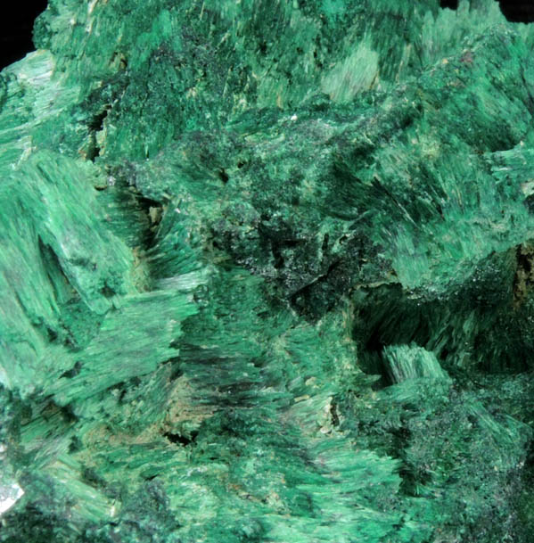 Malachite from Tsumeb Mine, Otavi-Bergland District, Oshikoto, Namibia