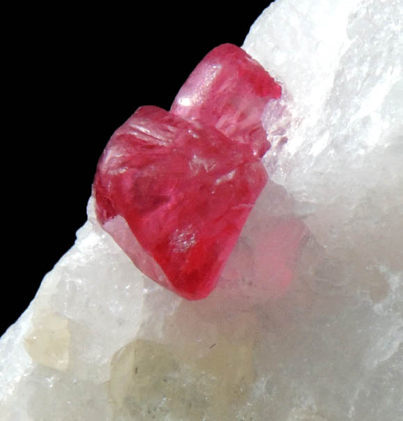 Spinel with Clinohumite in marble from Pein Pyit, Mogok District, 115 km NNE of Mandalay, Mandalay Division, Myanmar (Burma)