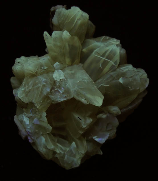 Calcite from Ruck's Pit Quarry, Fort Drum, Okeechobee County, Florida