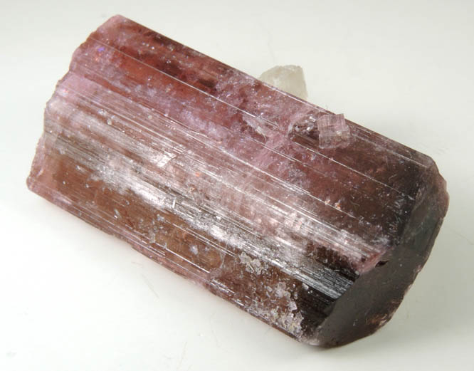 Elbaite var. Rubellite Tourmaline with Quartz from Cruzeiro Mine, Santa Maria do Suacui, Minas Gerais, Brazil