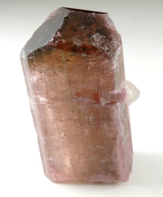 Elbaite var. Rubellite Tourmaline with Quartz from Cruzeiro Mine, Santa Maria do Suacui, Minas Gerais, Brazil