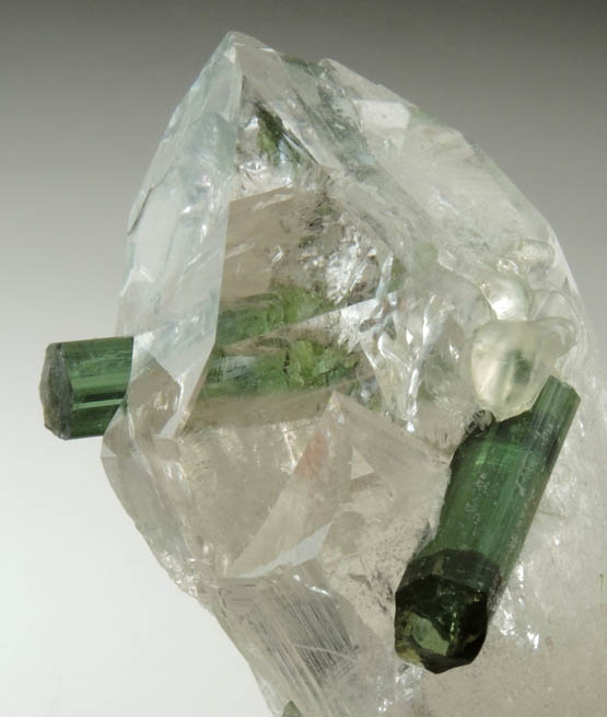 Elbaite Tourmaline in Quartz from Minas Gerais, Brazil