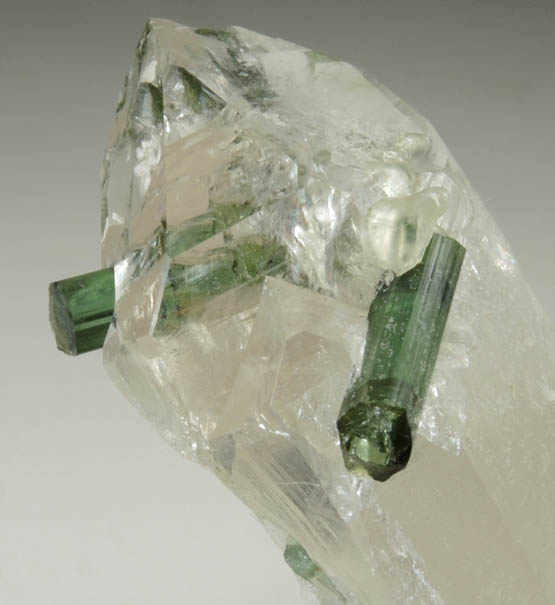 Elbaite Tourmaline in Quartz from Minas Gerais, Brazil