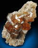 Andradite Garnet with Quartz from Antetezambato, Ambanja, Antsiranana Province, Madagascar