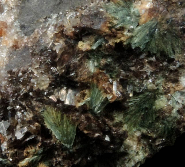 Gormanite on Siderite from Rapid Creek, 70 km northwest of Aklavik, Yukon, Canada (Type Locality for Gormanite)