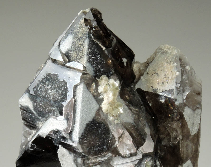 Quartz var. Smoky Quartz with thin coating of colorless Quartz from Havey Quarry, Poland, Androscoggin County, Maine