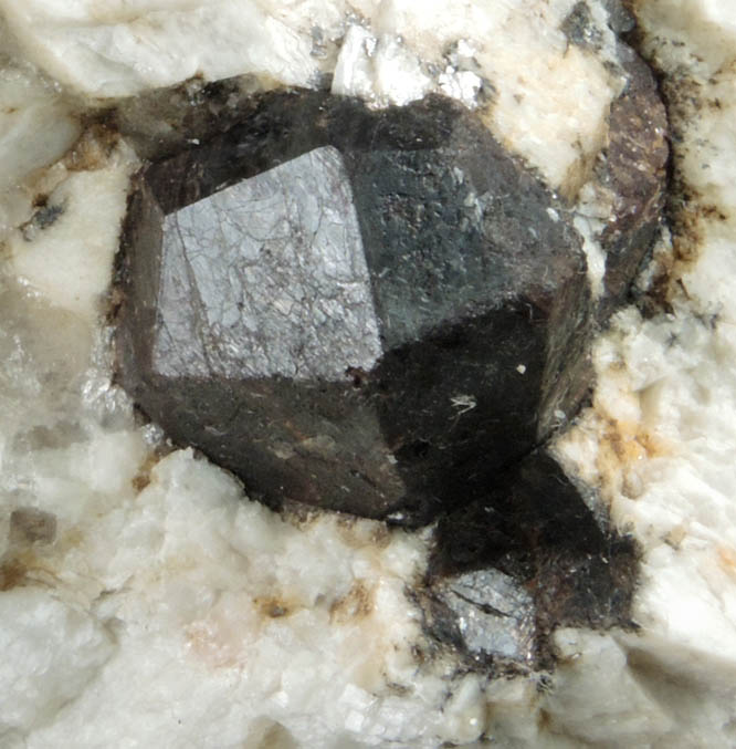 Almandine Garnet in Albite-Quartz-Muscovite from Hedgehog Hill, Peru, Oxford County, Maine