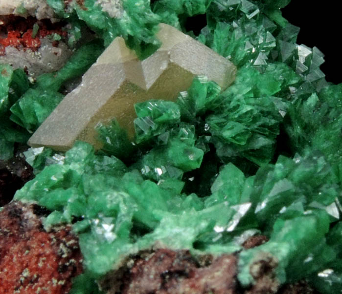 Adamite var. Cuproadamite with Wulfenite from Tsumeb Mine, Otavi-Bergland District, Oshikoto, Namibia