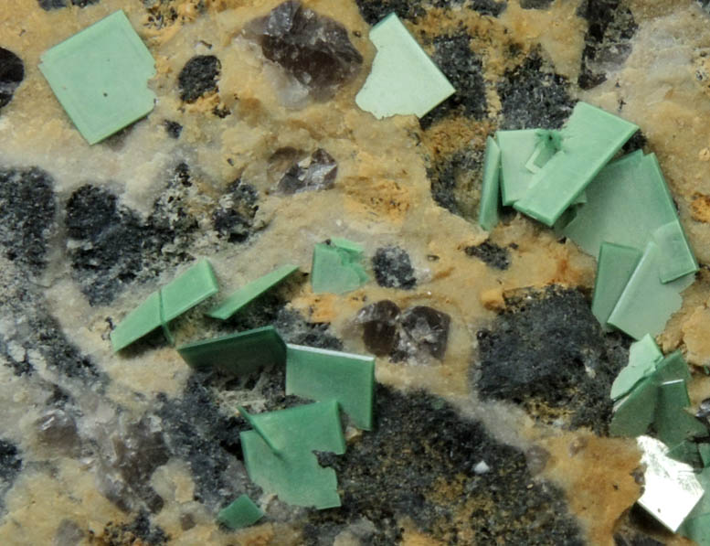 Torbernite from Majuba Hill, Lower Adit, Pershing County, Nevada