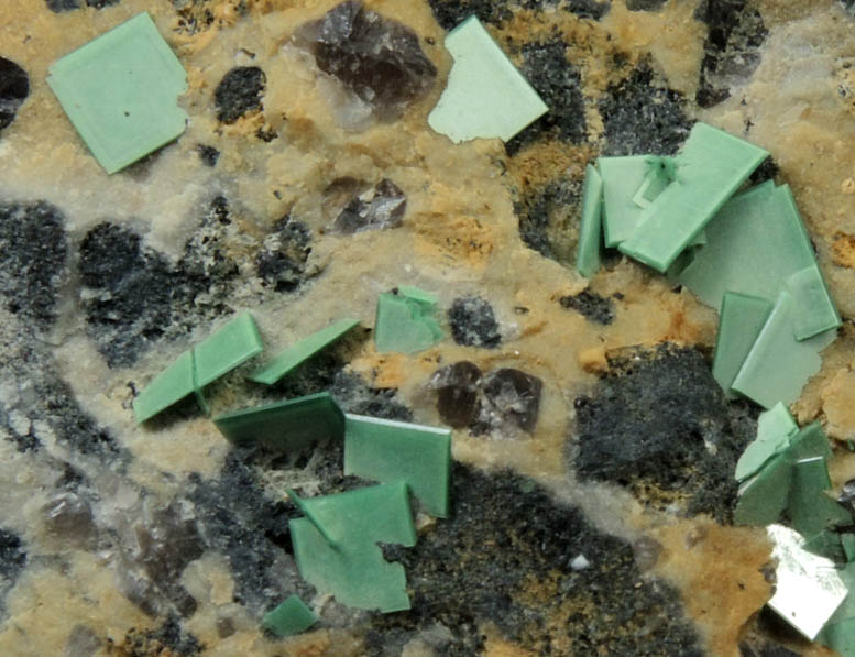 Torbernite from Majuba Hill, Lower Adit, Pershing County, Nevada