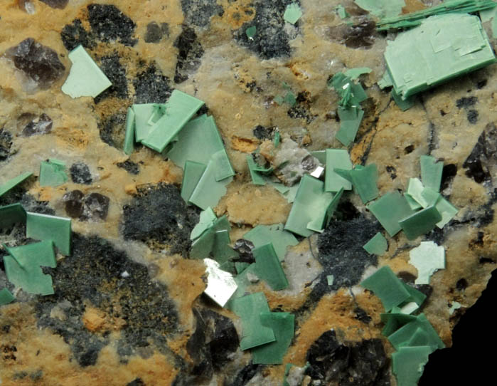 Torbernite from Majuba Hill, Lower Adit, Pershing County, Nevada