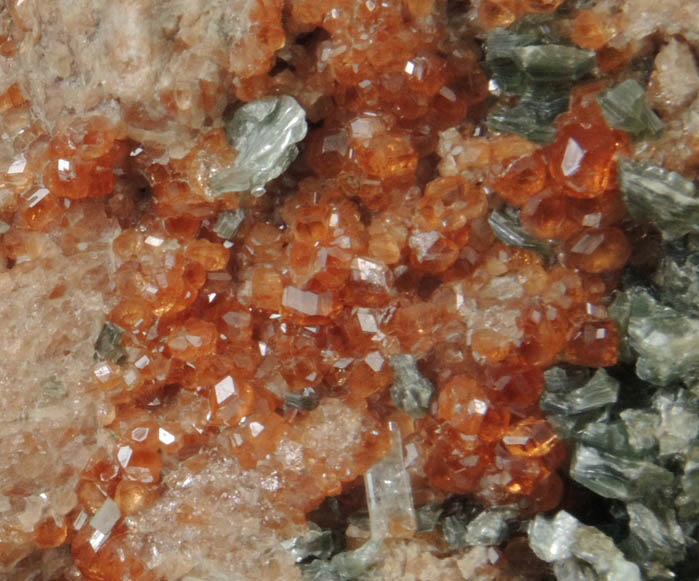 Grossular Garnet with Clinochlore and Diopside from Val d'Ala, Piemonte, Italy