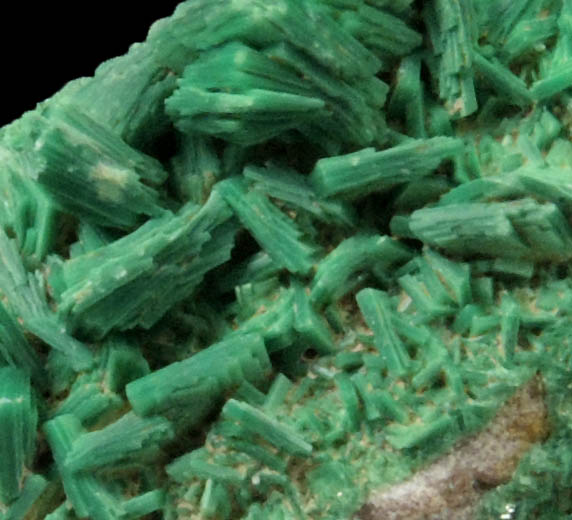 Torbernite from Saint-Priest-la-Prugne, Loire, Rhne-Alpes, France