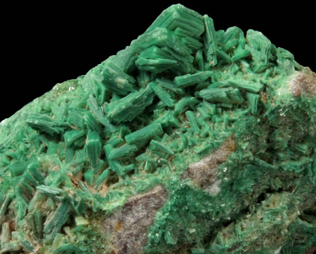 Torbernite from Saint-Priest-la-Prugne, Loire, Rhne-Alpes, France