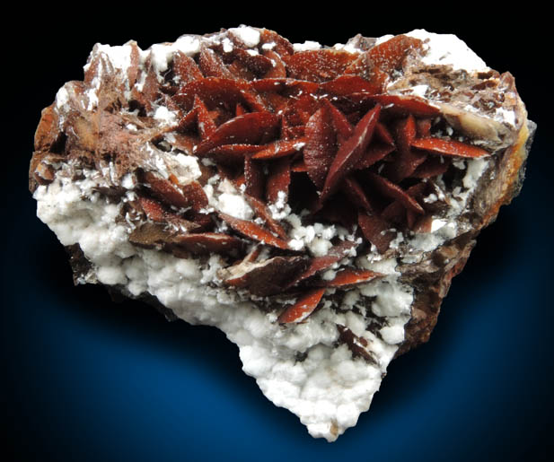 Siderite on Picropharmacolite from Miniera di Brosso, Clea, Torino, Piemonte, Italy