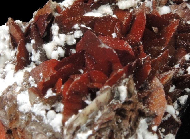 Siderite on Picropharmacolite from Miniera di Brosso, Clea, Torino, Piemonte, Italy