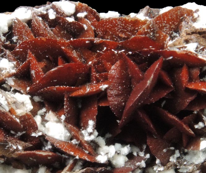 Siderite on Picropharmacolite from Miniera di Brosso, Clea, Torino, Piemonte, Italy