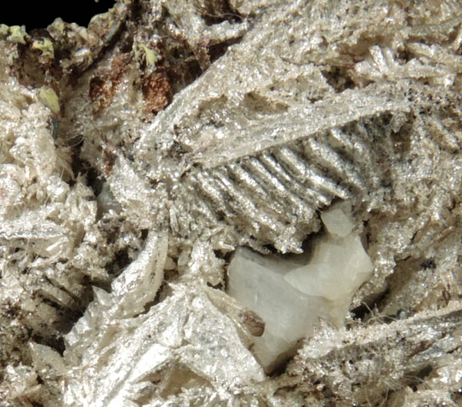 Silver (crystallized) with Calcite from Andres del Rio District, Batopilas, Chihuahua, Mexico