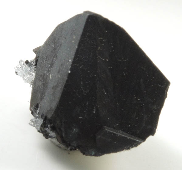 Tetrahedrite from Black Pine Mine, Granite County, Montana