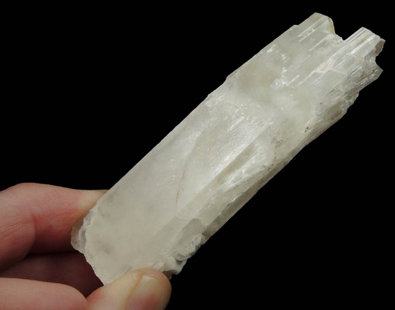 Spodumene (curved crystal) with Albite from Darra-i-Pech, Kunar Province, Afghanistan