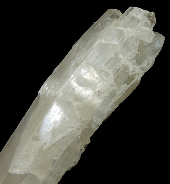 Spodumene (curved crystal) with Albite from Darra-i-Pech, Kunar Province, Afghanistan