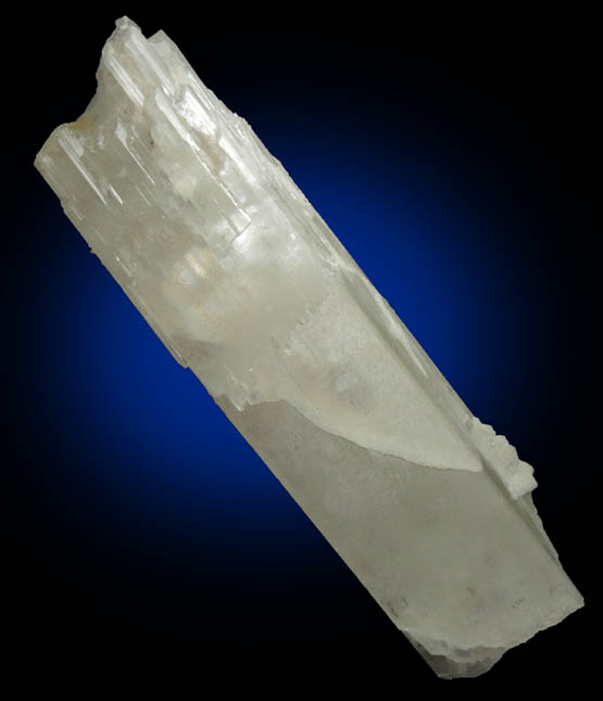 Spodumene (curved crystal) with Albite from Darra-i-Pech, Kunar Province, Afghanistan