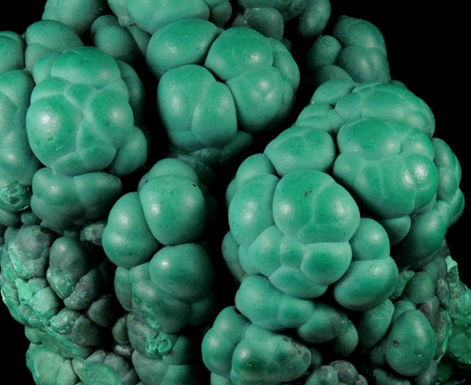 Malachite from Katanga Copperbelt, Lualaba Province, Democratic Republic of the Congo