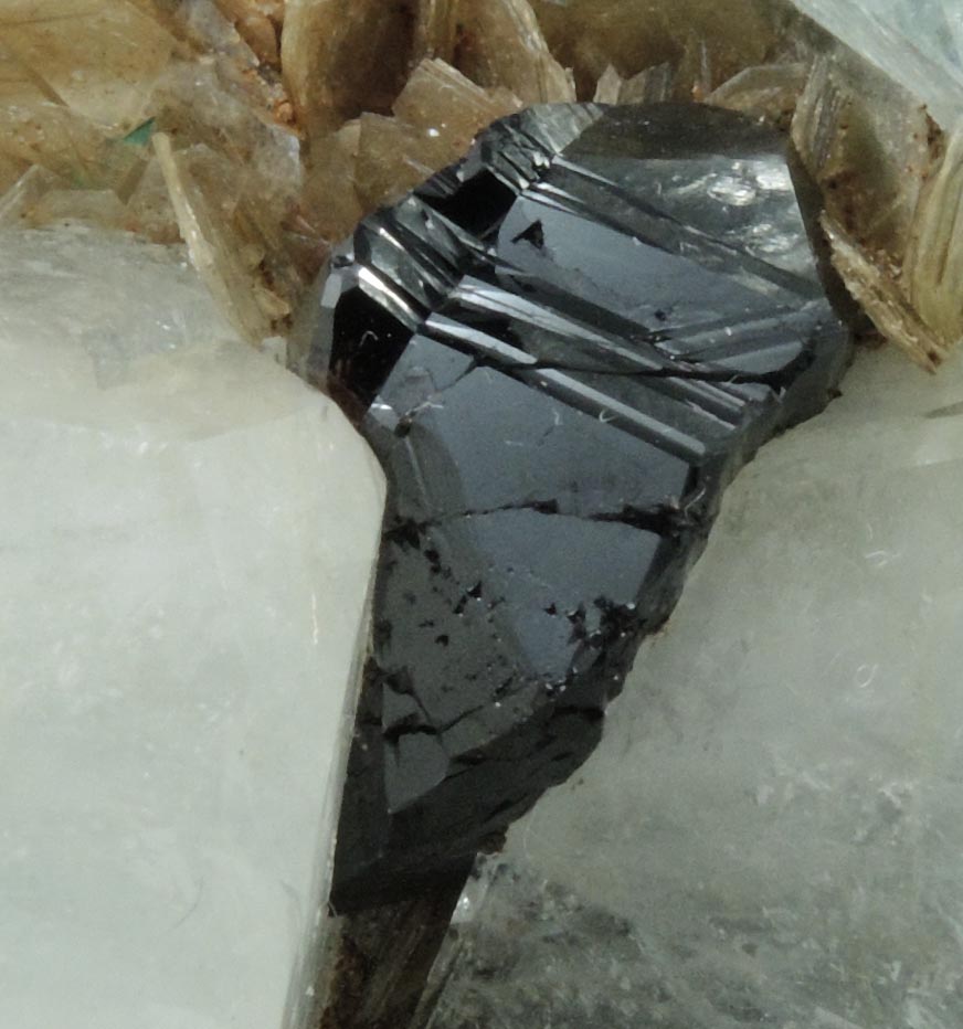 Cassiterite on Beryl var. Aquamarine and Muscovite from Xuebaoding Mountain near Pingwu, Sichuan Province, China