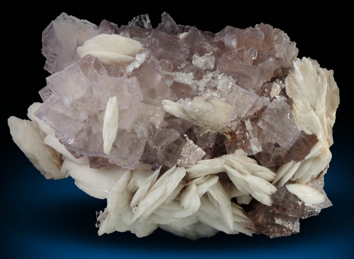 Fluorite with Barite from La Cabaa, Punta Arrobado, north of Berbes, Ribadesella, Asturias, Spain