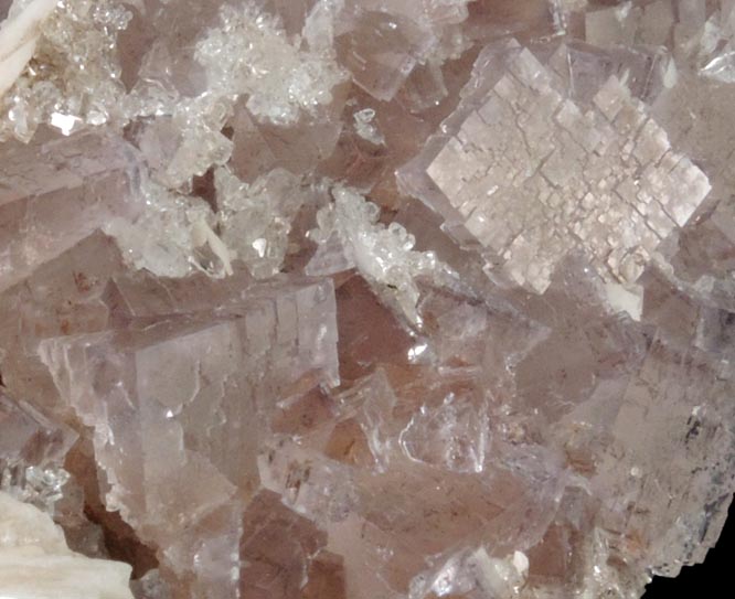 Fluorite with Barite from La Cabaa, Punta Arrobado, north of Berbes, Ribadesella, Asturias, Spain