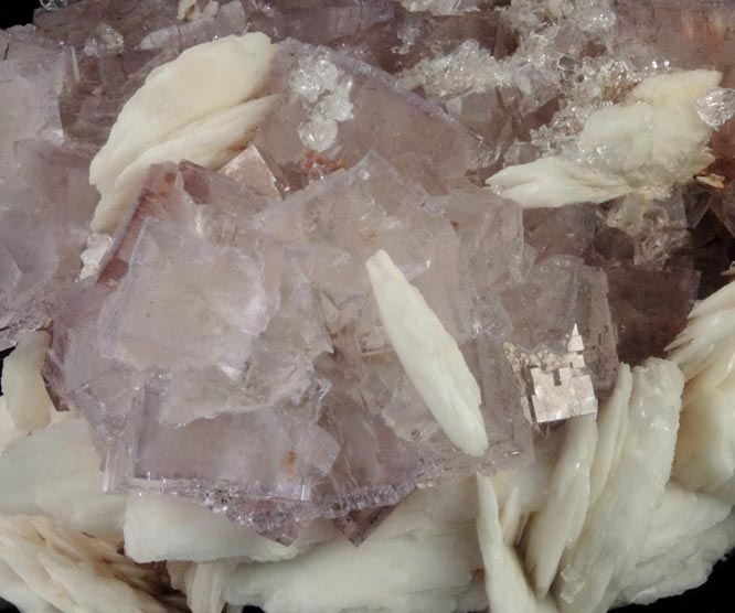 Fluorite with Barite from La Cabaa, Punta Arrobado, north of Berbes, Ribadesella, Asturias, Spain