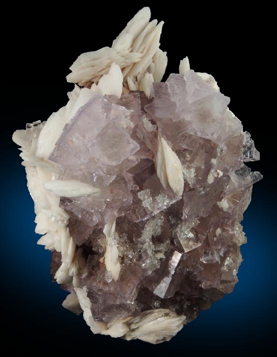 Fluorite with Barite from La Cabaa, Punta Arrobado, north of Berbes, Ribadesella, Asturias, Spain