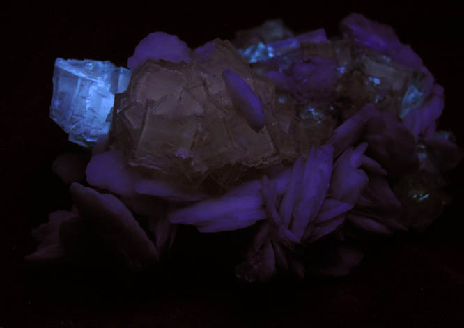 Fluorite with Barite from La Cabaa, Punta Arrobado, north of Berbes, Ribadesella, Asturias, Spain