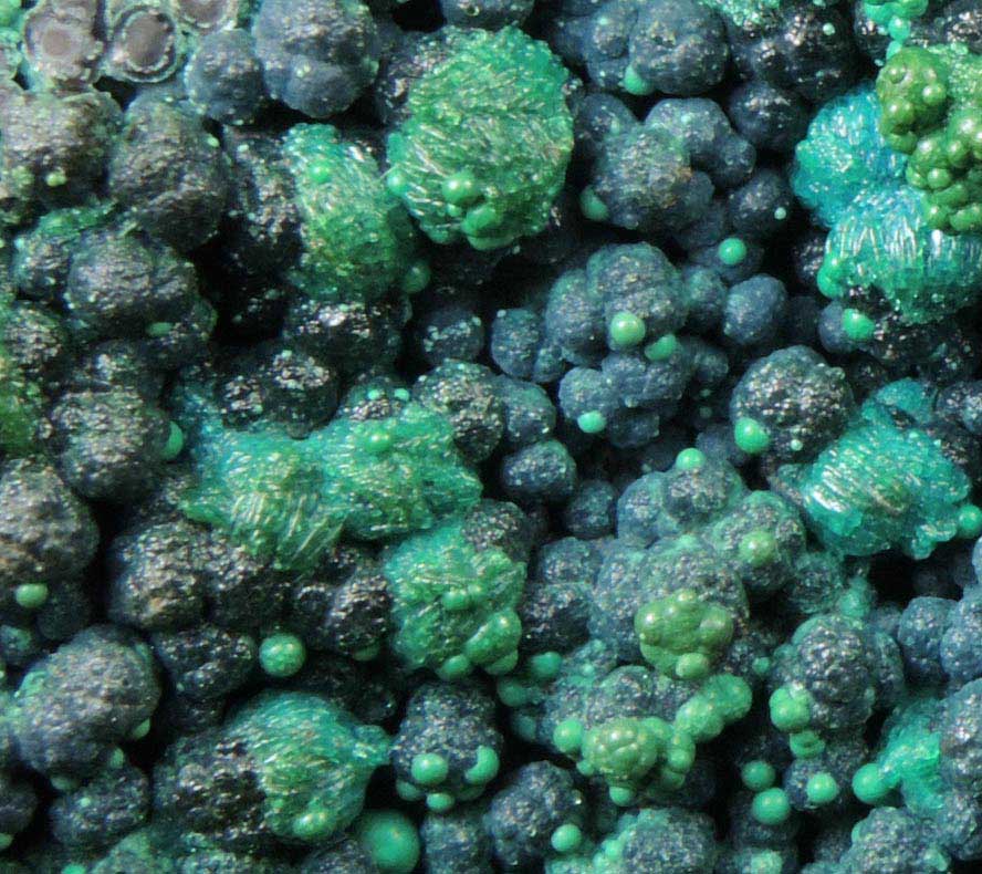 Chrysocolla from Morenci Mine, Clifton District, Greenlee County, Arizona