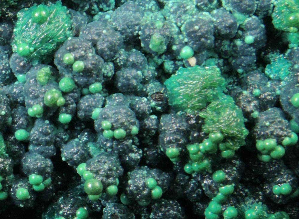 Chrysocolla from Morenci Mine, Clifton District, Greenlee County, Arizona