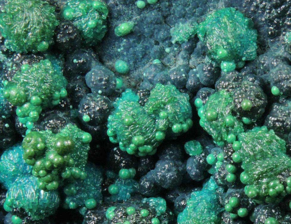 Chrysocolla from Morenci Mine, Clifton District, Greenlee County, Arizona