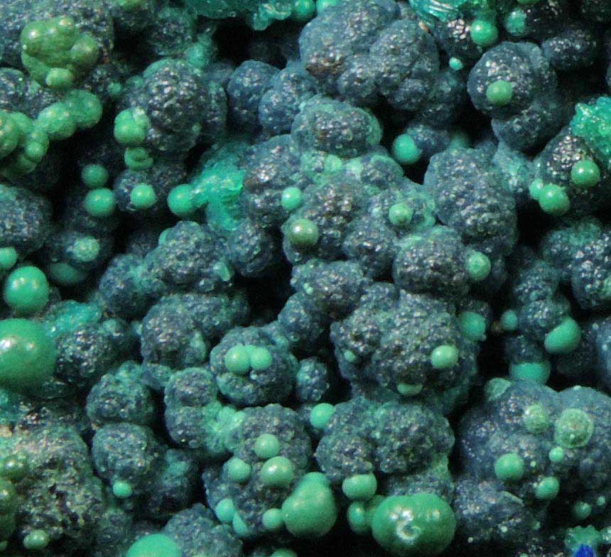 Chrysocolla from Morenci Mine, Clifton District, Greenlee County, Arizona