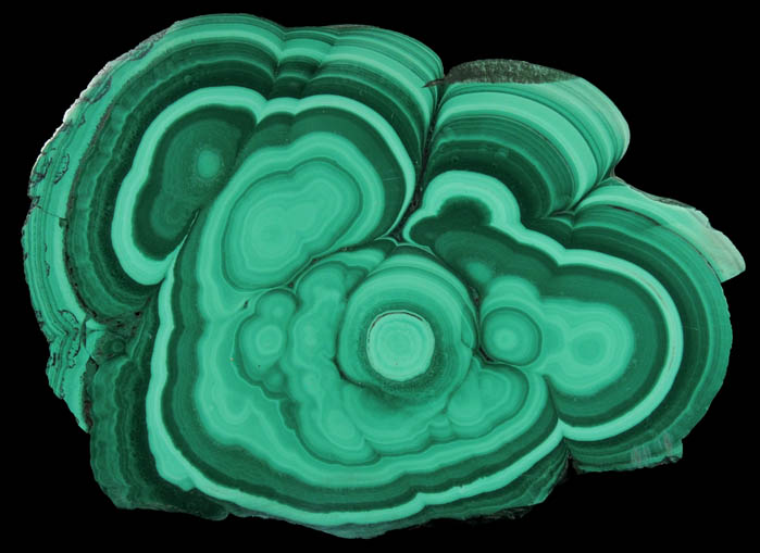 Malachite (concentric growth malachite polished slice) from Kolwezi Mining District, 240 km WNW of  Lubumbashi, Katanga Copperbelt, Lualaba Province, Democratic Republic of the Congo