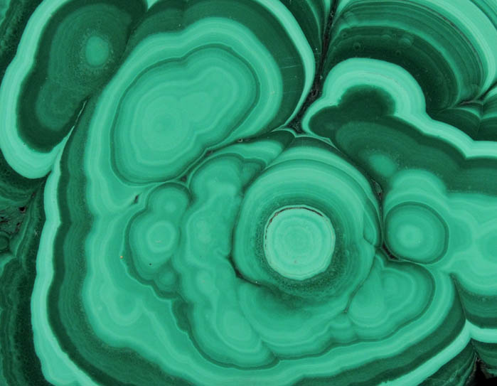 Malachite (concentric growth malachite polished slice) from Kolwezi Mining District, 240 km WNW of Lubumbashi, Katanga Copperbelt, Lualaba Province, Democratic Republic of the Congo